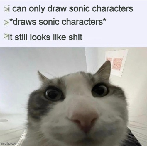 i used this in a comment | i can only draw sonic characters; *draws sonic characters*; it still looks like shit | image tagged in cat looks inside | made w/ Imgflip meme maker