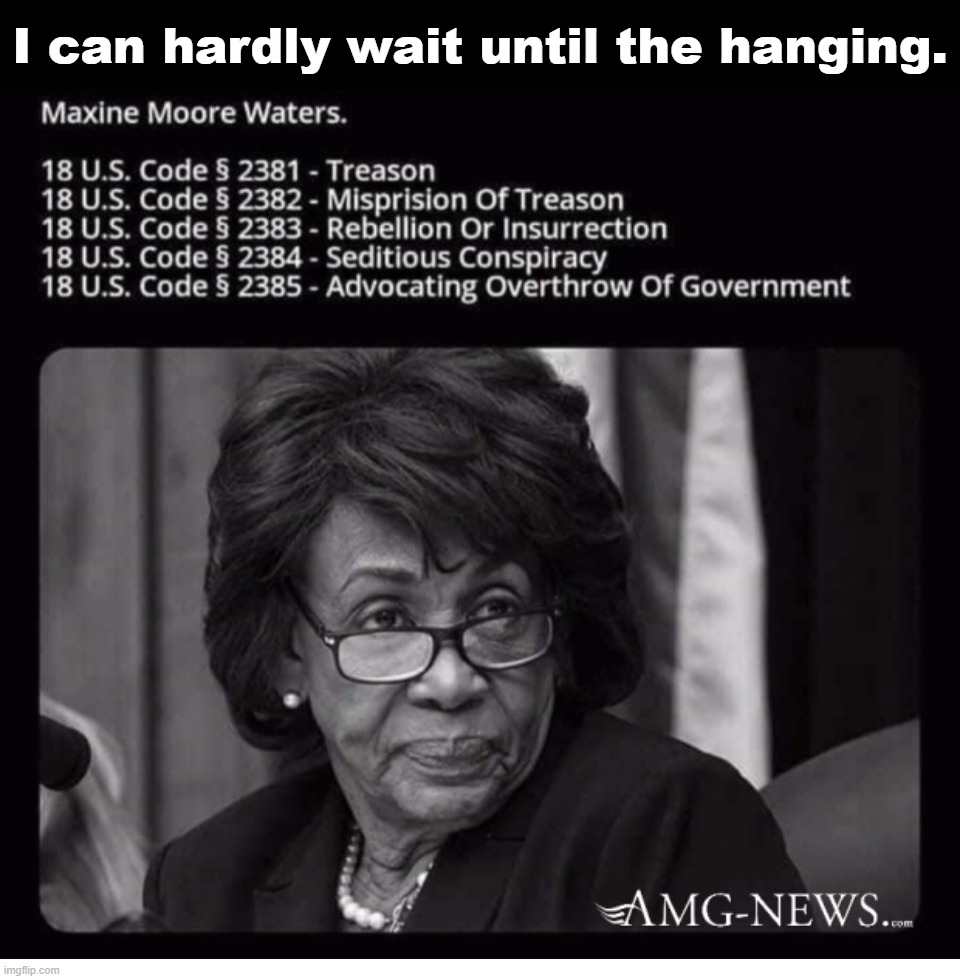 I can hardly wait until the hanging. | I can hardly wait until the hanging. | image tagged in maxine waters,hanging out,hanging,sedition,treason,capital punishment | made w/ Imgflip meme maker