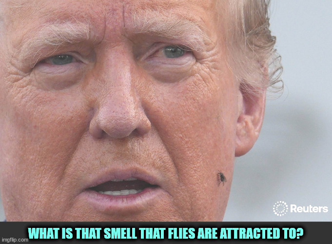 WHAT IS THAT SMELL THAT FLIES ARE ATTRACTED TO? | image tagged in trump,smell,flies | made w/ Imgflip meme maker