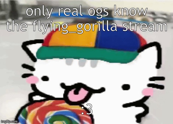 cat licking lollipop | only real ogs know the flying_gorilla stream; :3 | image tagged in cat licking lollipop | made w/ Imgflip meme maker