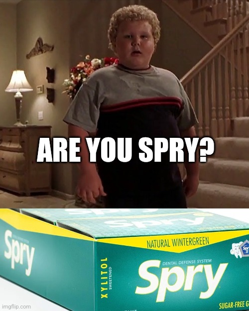 I guess that's a yes | ARE YOU SPRY? | image tagged in bad santa,gum,unexpected | made w/ Imgflip meme maker