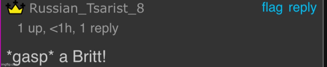 *gasp* a Brit! | image tagged in gasp a brit | made w/ Imgflip meme maker