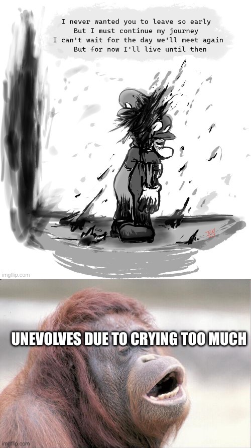 UNEVOLVES DUE TO CRYING TOO MUCH | image tagged in memes,monkey ooh | made w/ Imgflip meme maker