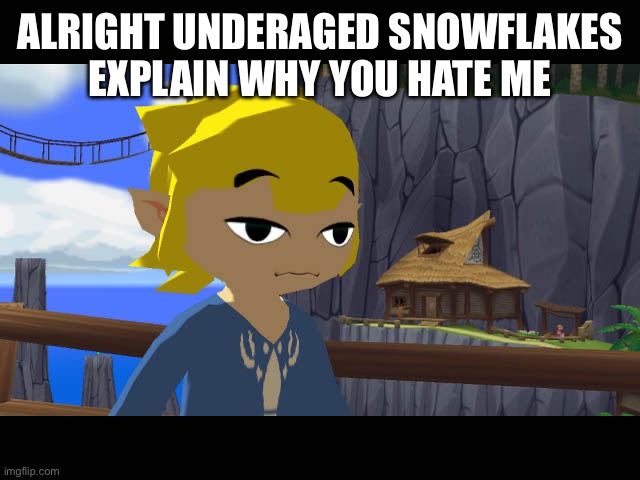 High Toon Link | ALRIGHT UNDERAGED SNOWFLAKES EXPLAIN WHY YOU HATE ME | image tagged in high toon link | made w/ Imgflip meme maker