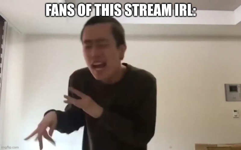 Crazy idiot | FANS OF THIS STREAM IRL: | image tagged in crazy idiot | made w/ Imgflip meme maker