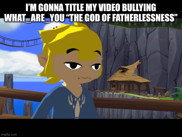 High Toon Link | I’M GONNA TITLE MY VIDEO BULLYING WHAT_ARE_YOU “THE GOD OF FATHERLESSNESS” | image tagged in high toon link | made w/ Imgflip meme maker