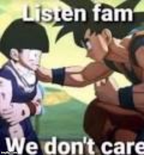 Listen fam we dont care | image tagged in listen fam we dont care | made w/ Imgflip meme maker