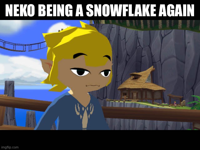 High Toon Link | NEKO BEING A SNOWFLAKE AGAIN; HTTPS://IMGFLIP.COM/I/90FY37 | image tagged in high toon link | made w/ Imgflip meme maker