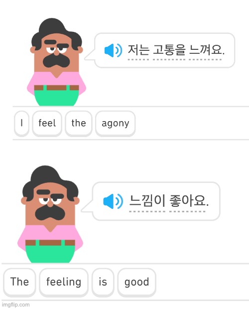 Your kink, now in 43 languages | image tagged in duolingo agony,kink,duolingo | made w/ Imgflip meme maker