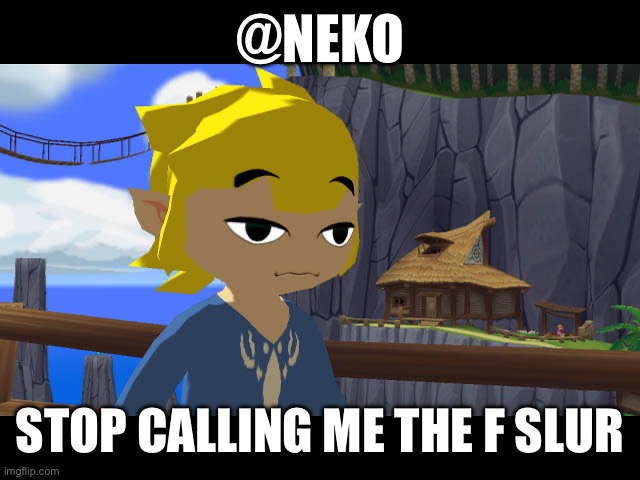 High Toon Link | @NEKO; STOP CALLING ME THE F SLUR | image tagged in high toon link | made w/ Imgflip meme maker