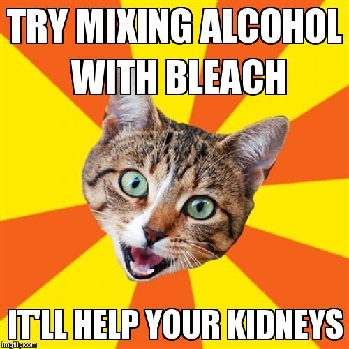 Bad Advice Cat | image tagged in memes,bad advice cat | made w/ Imgflip meme maker