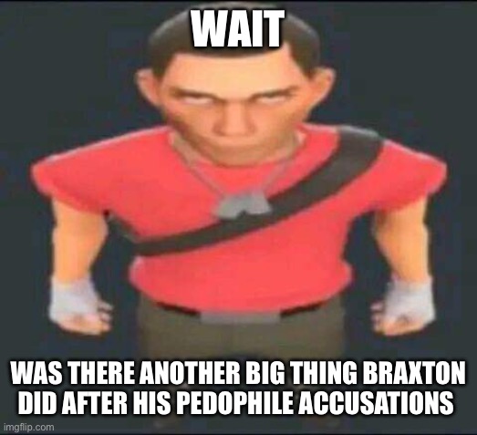 bro | WAIT; WAS THERE ANOTHER BIG THING BRAXTON DID AFTER HIS PEDOPHILE ACCUSATIONS | image tagged in bro | made w/ Imgflip meme maker