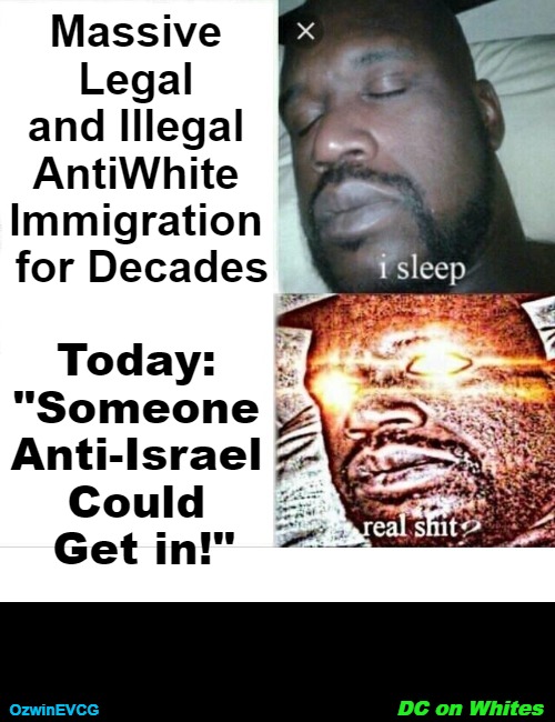 DC on Whites | Massive 

Legal 

and Illegal 

AntiWhite 

Immigration 

for Decades; Today: 

"Someone 

Anti-Israel 

Could 

Get in!"; DC on Whites; OzwinEVCG | image tagged in sleeping shaq,antiwhite,occupied usa,priorities,immigration,double standard | made w/ Imgflip meme maker