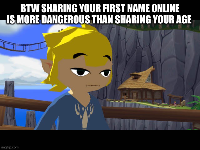 High Toon Link | BTW SHARING YOUR FIRST NAME ONLINE IS MORE DANGEROUS THAN SHARING YOUR AGE | image tagged in high toon link | made w/ Imgflip meme maker