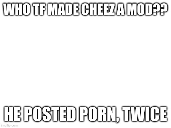 Cheez if u take this down u a snowflake ive been here for almost 4 years, and the site mods are ALEAYS ABUSIVE!! (Especially and | WHO TF MADE CHEEZ A MOD?? HE POSTED P0RN, TWICE | image tagged in blank white template | made w/ Imgflip meme maker