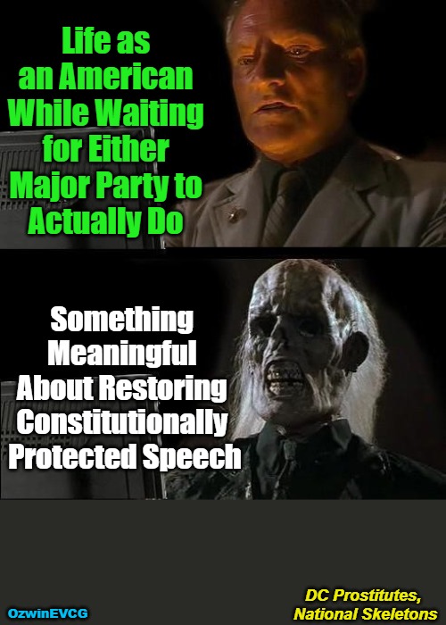 "Nobody OWNs Folks Like My Favorite Politician!" #VoteHarder | Life as 

an American 

While Waiting 

for Either 

Major Party to 

Actually Do; Something 

Meaningful 

About Restoring 

Constitutionally 

Protected Speech; DC Prostitutes, 

National Skeletons; OzwinEVCG | image tagged in democratic party,republican party,uniparty animals,free speech,politicians suck,government corruption | made w/ Imgflip meme maker