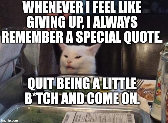 Smudge that darn cat | WHENEVER I FEEL LIKE GIVING UP, I ALWAYS REMEMBER A SPECIAL QUOTE. QUIT BEING A LITTLE B*TCH AND COME ON. | image tagged in smudge that darn cat | made w/ Imgflip meme maker