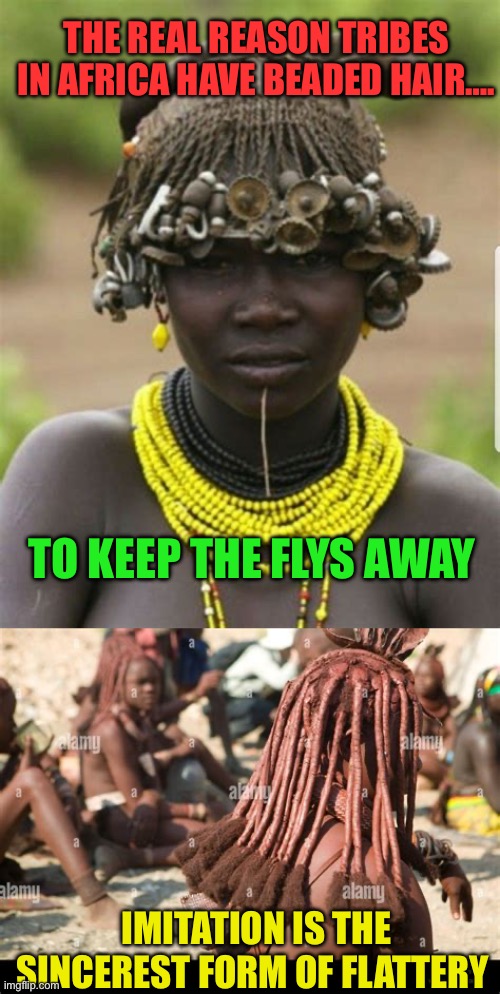 Hair style imitation, why? | THE REAL REASON TRIBES IN AFRICA HAVE BEADED HAIR…. TO KEEP THE FLYS AWAY; IMITATION IS THE SINCEREST FORM OF FLATTERY | image tagged in gifs,hair,socially awkward,copycat | made w/ Imgflip meme maker