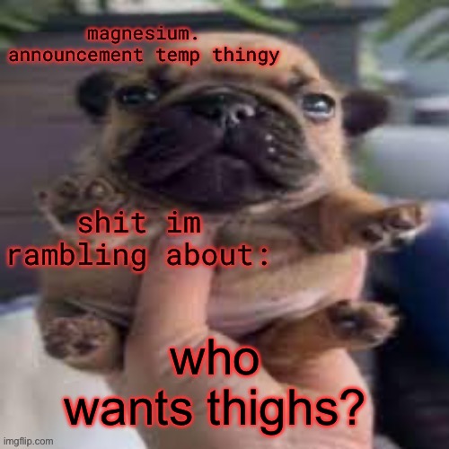 pug temp | who wants thighs? | image tagged in pug temp | made w/ Imgflip meme maker