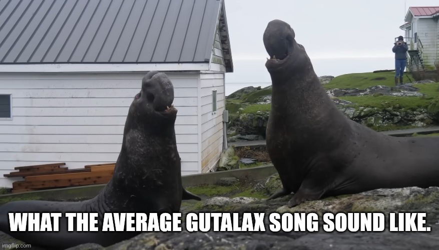 Gutalax songs be like: | WHAT THE AVERAGE GUTALAX SONG SOUND LIKE. | image tagged in heavy metal,elephant,seal,seals,death metal,diarrhea | made w/ Imgflip meme maker