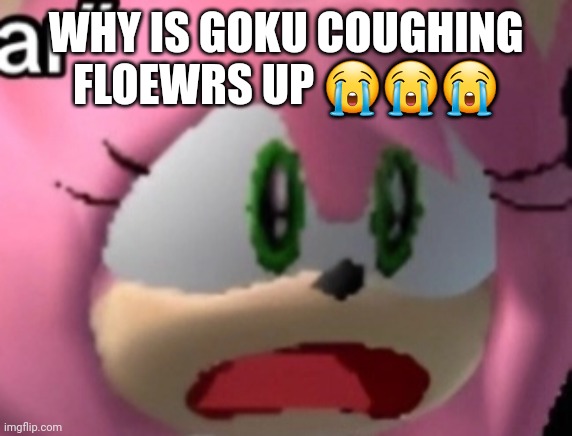 D: | WHY IS GOKU COUGHING FLOEWRS UP 😭😭😭 | image tagged in d | made w/ Imgflip meme maker