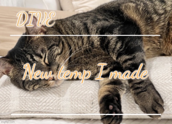 kittyyyyyy | New temp I made | image tagged in dive s cat announcement temp,dive | made w/ Imgflip meme maker