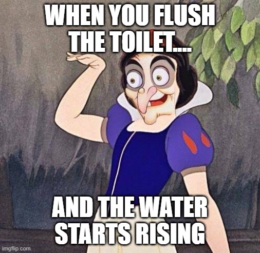 hehee | WHEN YOU FLUSH THE TOILET.... AND THE WATER STARTS RISING | image tagged in snow witch | made w/ Imgflip meme maker