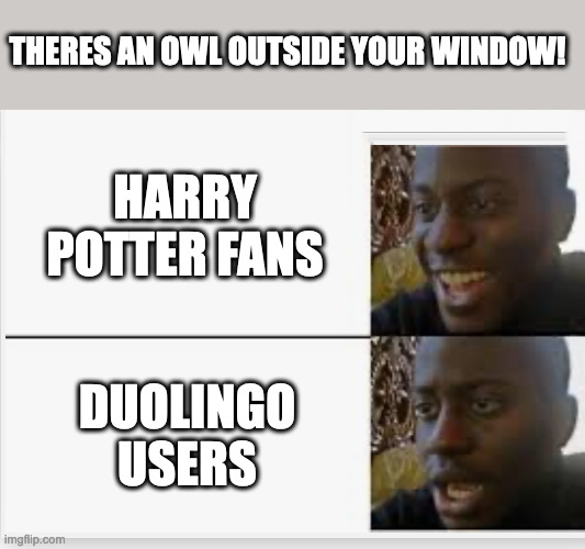 what other examples can you think of? | THERES AN OWL OUTSIDE YOUR WINDOW! HARRY POTTER FANS; DUOLINGO USERS | image tagged in happy then sad,duolingo,harry potter | made w/ Imgflip meme maker