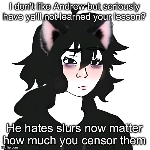 Catgirl wojak | I don't like Andrew but seriously have ya'll not learned your lesson? He hates slurs now matter how much you censor them | image tagged in catgirl wojak | made w/ Imgflip meme maker