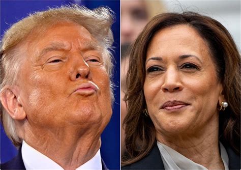 Kamala Harris is about to beat up Donald Trump. This excites him Blank Meme Template