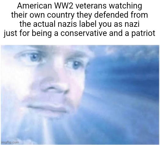 The modern left in America are causing your Grandpa who defended the country against the nazis to spin in his grave | American WW2 veterans watching their own country they defended from the actual nazis label you as nazi just for being a conservative and a patriot | image tagged in in heaven looking down,regressive left,sjws,stupid liberals | made w/ Imgflip meme maker