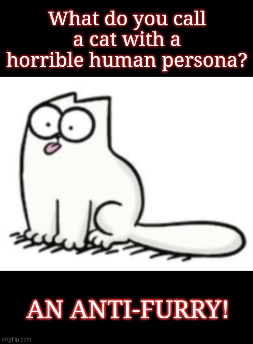 What do you call...#1 | What do you call a cat with a horrible human persona? AN ANTI-FURRY! | image tagged in anti furry,cat,play on words | made w/ Imgflip meme maker