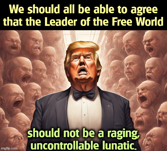 We should all be able to agree that the Leader of the Free World; should not be a raging, uncontrollable lunatic. | image tagged in trump,leader of the free world,president,rage,lunatic | made w/ Imgflip meme maker