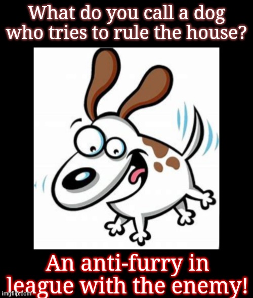 What do you call...#2 | What do you call a dog who tries to rule the house? An anti-furry in league with the enemy! | image tagged in anti furry,crazy dog,dogs pets funny,how rude | made w/ Imgflip meme maker