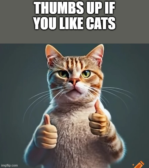 If You Like Cats | THUMBS UP IF YOU LIKE CATS | image tagged in thumbs up,thumbs,cat,cute cat,funny,memes | made w/ Imgflip meme maker