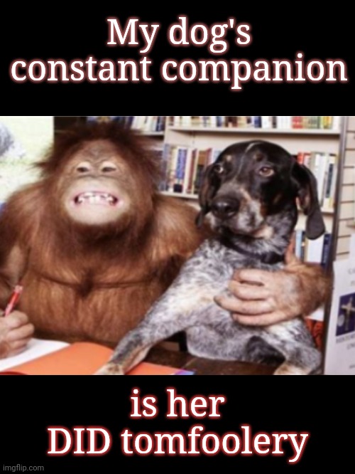 My dog has DID | My dog's constant companion; is her DID tomfoolery | image tagged in multiple personality,did,psychology,dogs,monkey puppet | made w/ Imgflip meme maker