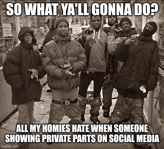 Showing Private Parts on Social Media Sucks Ass | SO WHAT YA'LL GONNA DO? ALL MY HOMIES HATE WHEN SOMEONE SHOWING PRIVATE PARTS ON SOCIAL MEDIA | image tagged in all my homies hate,criticism,dont showing the private parts,meme,opinion,don't do it | made w/ Imgflip meme maker