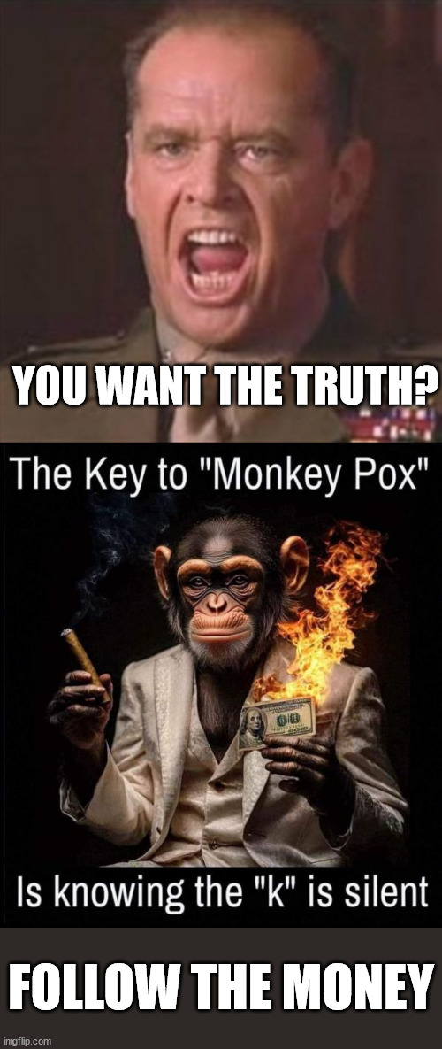 Follow the money | YOU WANT THE TRUTH? FOLLOW THE MONEY | image tagged in you can't handle the truth,follow the money,big pharma lackeys | made w/ Imgflip meme maker