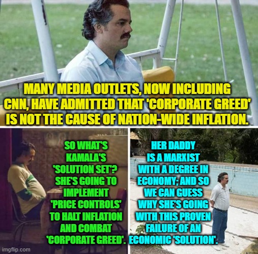 Marxism-based Dem Party economic policies is WHY there have been huge price increases, period. | MANY MEDIA OUTLETS, NOW INCLUDING CNN, HAVE ADMITTED THAT 'CORPORATE GREED' IS NOT THE CAUSE OF NATION-WIDE INFLATION. SO WHAT'S KAMALA'S 'SOLUTION SET'?  SHE'S GOING TO IMPLEMENT 'PRICE CONTROLS' TO HALT INFLATION AND COMBAT 'CORPORATE GREED'. HER DADDY IS A MARXIST WITH A DEGREE IN ECONOMY; AND SO WE CAN GUESS WHY SHE'S GOING WITH THIS PROVEN FAILURE OF AN ECONOMIC 'SOLUTION'. | image tagged in sad pablo escobar | made w/ Imgflip meme maker