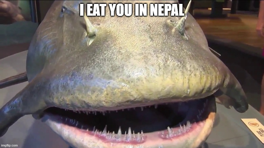 goonch | I EAT YOU IN NEPAL | image tagged in goonch | made w/ Imgflip meme maker