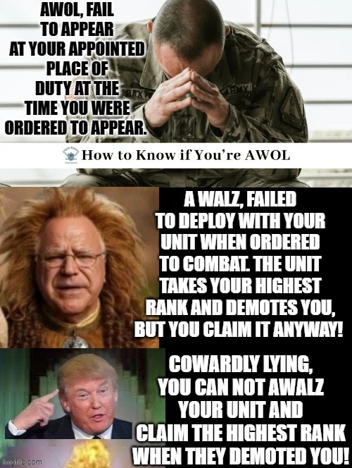 What is the difference between AWOL and AWALZ?   AWOL is absent without leave, AWALZ is a Cowardly Lying!! | COWARDLY LYING, YOU CAN NOT AWALZ YOUR UNIT AND CLAIM THE HIGHEST RANK WHEN THEY DEMOTED YOU! | image tagged in cowardly lion,lying,flying monkeys | made w/ Imgflip meme maker