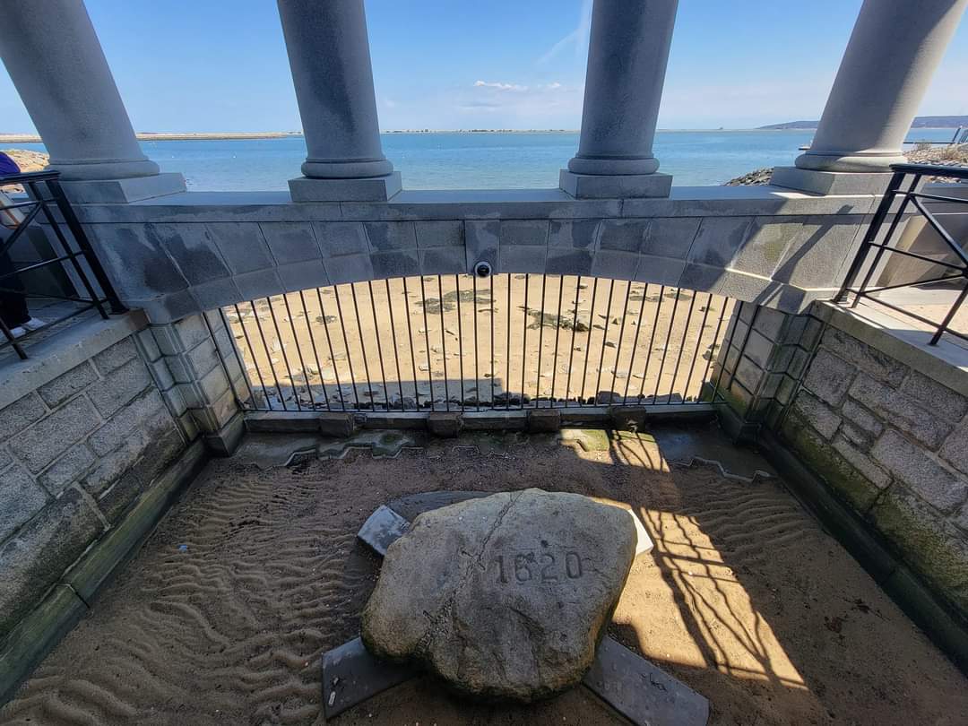 Plymouth Rock Blank Meme Template