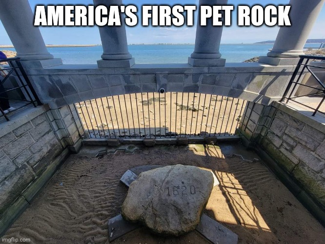 America's First Pet Rock | AMERICA'S FIRST PET ROCK | image tagged in plymouth rock | made w/ Imgflip meme maker