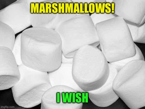 Marshmallow | MARSHMALLOWS! I WISH | image tagged in marshmallow | made w/ Imgflip meme maker