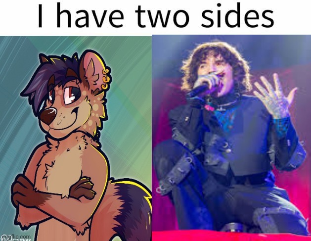 I have two sides | image tagged in i have two sides | made w/ Imgflip meme maker