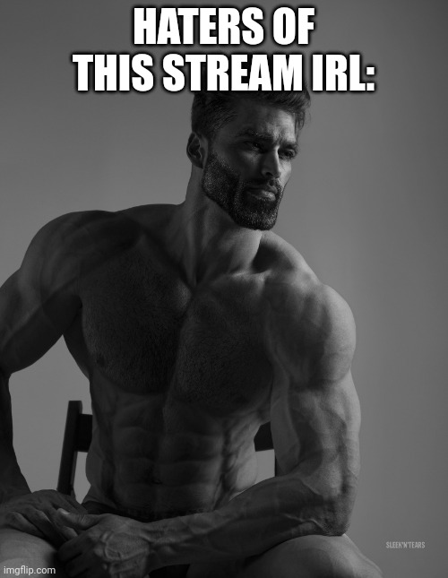 Giga Chad | HATERS OF THIS STREAM IRL: | image tagged in giga chad | made w/ Imgflip meme maker