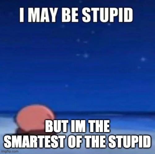 i may be stupid | BUT IM THE SMARTEST OF THE STUPID | image tagged in i may be stupid | made w/ Imgflip meme maker