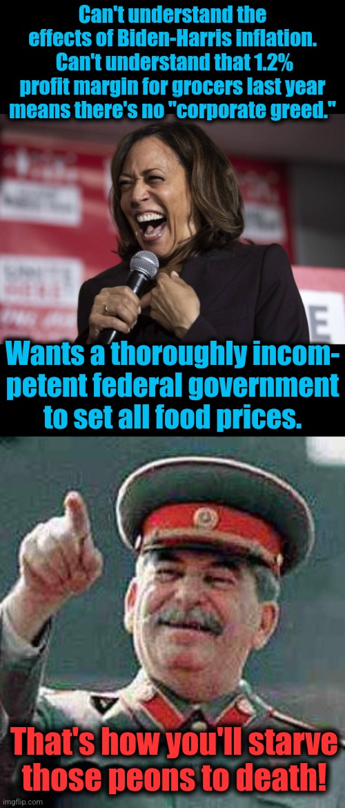 Seize the means of incompetence! | Can't understand the effects of Biden-Harris inflation.  Can't understand that 1.2% profit margin for grocers last year
means there's no "corporate greed."; Wants a thoroughly incom-
petent federal government
to set all food prices. That's how you'll starve
those peons to death! | image tagged in kamala laughing,stalin says,socialism,memes,democrats,starvation | made w/ Imgflip meme maker