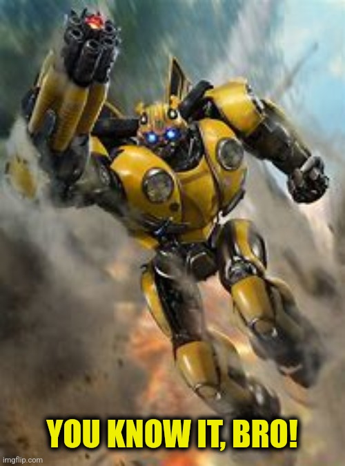 Bumblebee | YOU KNOW IT, BRO! | image tagged in bumblebee | made w/ Imgflip meme maker