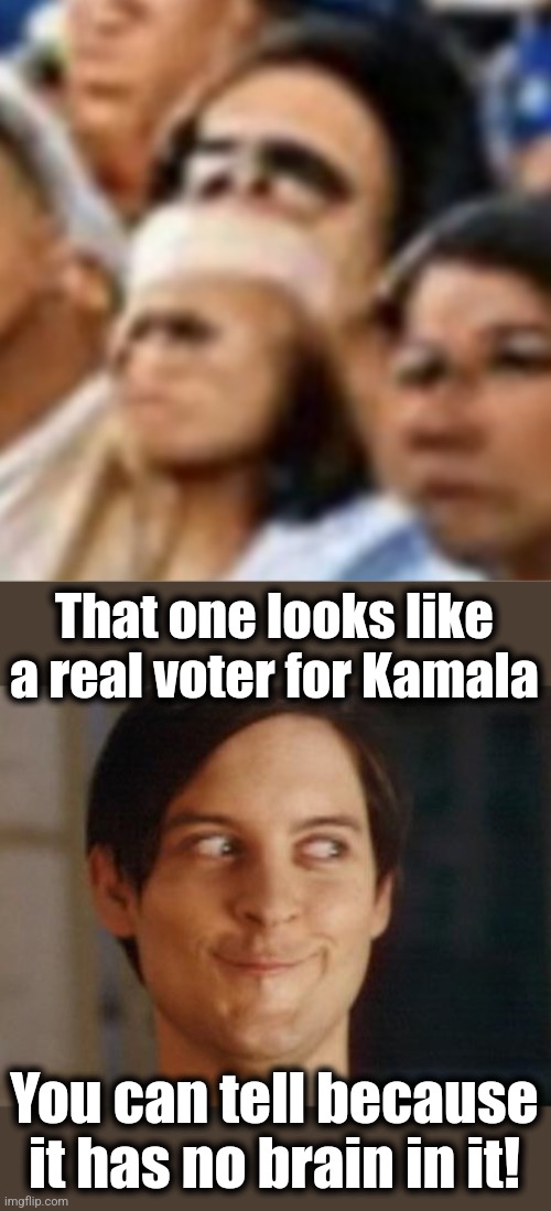 That one looks like a real voter for Kamala You can tell because it has no brain in it! | image tagged in memes,spiderman peter parker | made w/ Imgflip meme maker